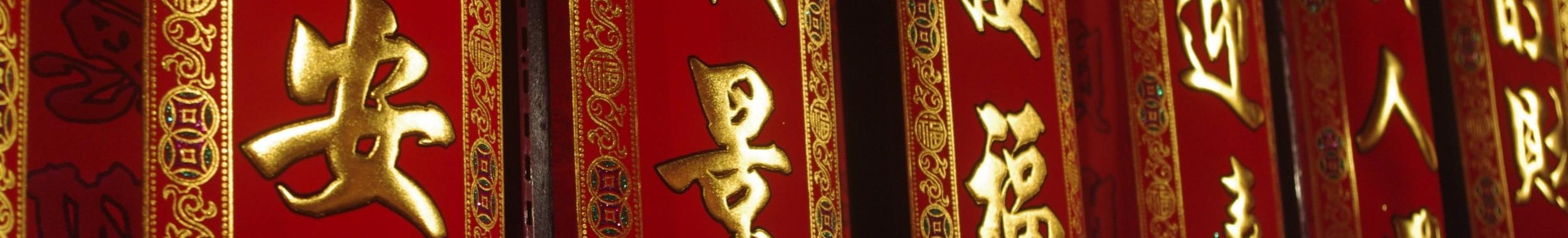 Welkom bij Acupunctuur Achterberg in Geldermalsen